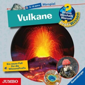 Vulkane, 1 Audio-CD