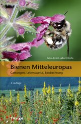 Bienen Mitteleuropas