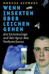 Wenn Insekten über Leichen gehen