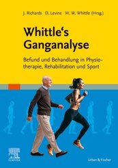 Whittle's Ganganalyse