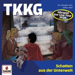 TKKG - Schatten aus der Unterwelt, 2 Audio-CD