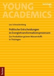 Politische Entscheidungen in Energietransformationsprozessen