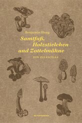Samtfu&szlig;, Holzstielchen und Zottelm&auml;hne