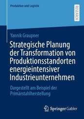 Strategische Planung der Transformation von Produktionsstandorten energieintensiver Industrieunternehmen