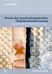 Praxis der psychodynamischen Organisationsberatung