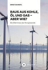 Raus aus Kohle, &Ouml;l und Gas - aber wie?