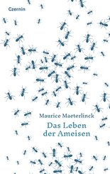 Das Leben der Ameisen
