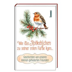 Wie das Rotkehlchen zu seiner roten Farbe kam