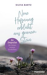 Neue Hoffnung erblüht aus grauem Stein