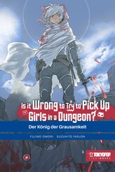 Is it wrong to try to pick up Girls in a Dungeon? Light Novel 10