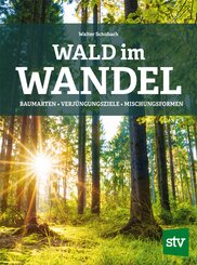 Wald im Wandel