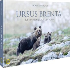 Ursus Brenta - Die R&uuml;ckkehr der B&auml;ren in die Alpen
