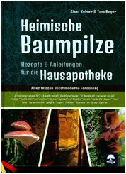 Heimische Baumpilze
