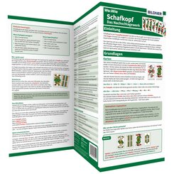 Schafkopf verstehen - spielen - gewinnen: Alles auf einen Blick!