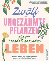 Zw&ouml;lf ungez&auml;hmte Pflanzen f&uuml;r ein langes & gesundes Leben