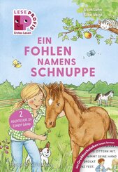 Leseprofis - GROSSBUCHSTABEN: EIN FOHLEN NAMENS SCHNUPPE, 1. Klasse