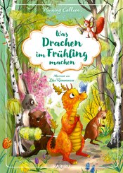 Was Drachen im Fr&uuml;hling machen