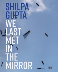 Shilpa Gupta. we last met in the mirror
