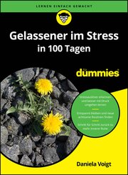 Gelassener im Stress in 100 Tagen f&uuml;r Dummies