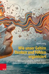 Wie unser Gehirn Denken und F&uuml;hlen organisiert