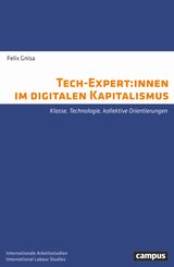 Tech-Expert:innen im digitalen Kapitalismus