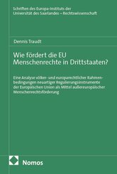Wie f&ouml;rdert die EU Menschenrechte in Drittstaaten?