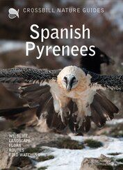 Crossbill Nature Guide Spanish Pyrenees