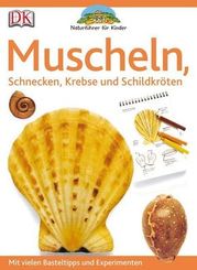 Muscheln   ; Naturführer für Kinder ; Deutsch; , durchg. farb. Ill. mit 200 Fotos u. Zeichn. -
