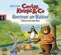 Abenteuer am Waldsee, 1 Audio-CD