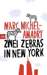 Zwei Zebras in New York