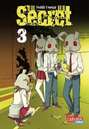 Secret - Bd.3