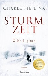Sturmzeit - Wilde Lupinen