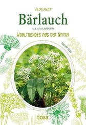 Bärlauch - Allium Ursinum