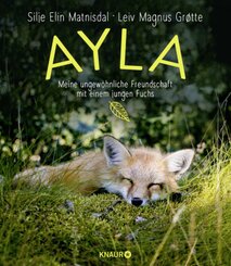 Ayla - meine ungewöhnliche Freundschaft mit einem jungen Fuchs
