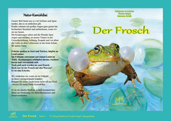 : Der Frosch, Natur-Kamishibai