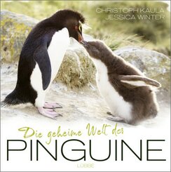 Die geheime Welt der Pinguine