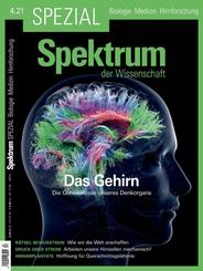 Spektrum Spezial - Das Gehirn