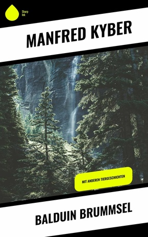Balduin Brummsel (eBook, ePUB)