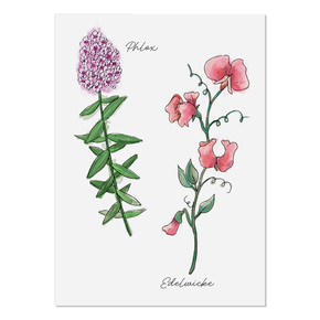 krima & isa Postkarte Ingas Blumen 4