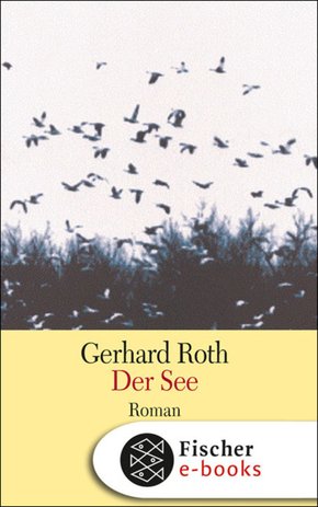 Der See (eBook, ePUB)