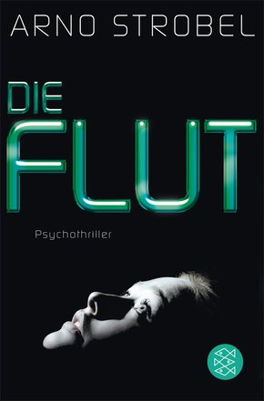 Die Flut (eBook, ePUB)