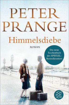 Himmelsdiebe (eBook, ePUB)