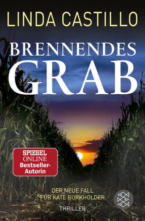Brennendes Grab (eBook, ePUB)