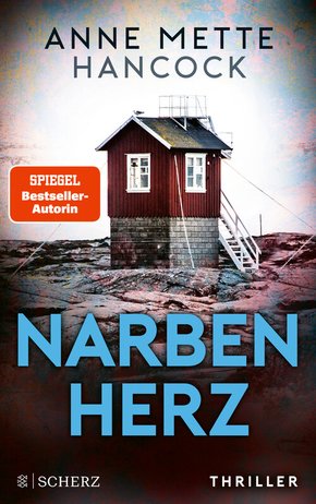 Narbenherz (eBook, ePUB)