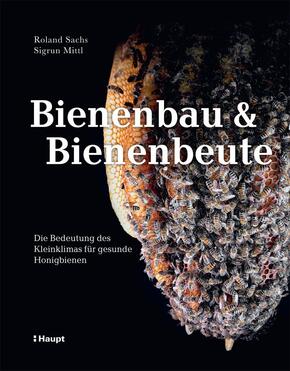 Bienenbau und Bienenbeute