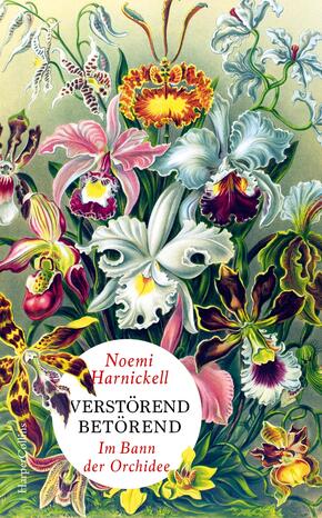 Verstörend betörend - Im Bann der Orchidee