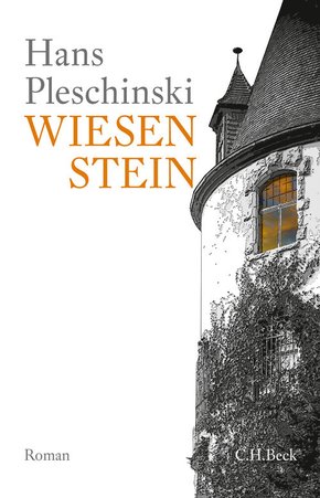 Wiesenstein (eBook, ePUB)