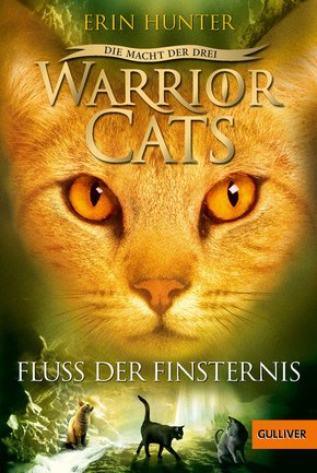 Warrior Cats - Die Macht der drei. Fluss der Finsternis (eBook, ePUB)