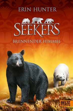 Seekers. Brennender Himmel (eBook, ePUB)