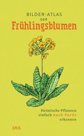 Bilder-Atlas der Frühlingsblumen